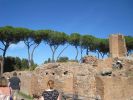 PICTURES/Rome - Forum & Palentine Hill/t_Palace of Domitian2.JPG